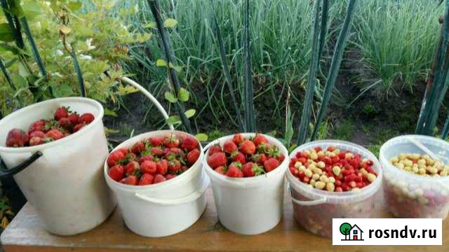 Дача 30 м² на участке 6 сот. на продажу в Суздале Суздаль - изображение 1