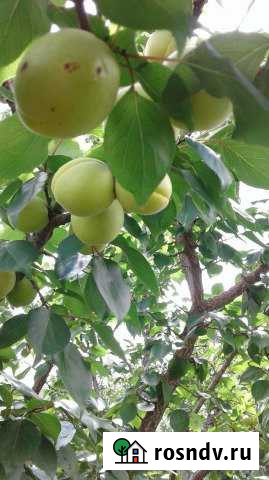 Дом 60 м² на участке 15 сот. в аренду на длительный срок в Липецке Липецк - изображение 1