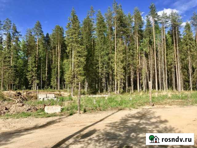 Участок ИЖС 15 сот. на продажу в Пряже Пряжа - изображение 1