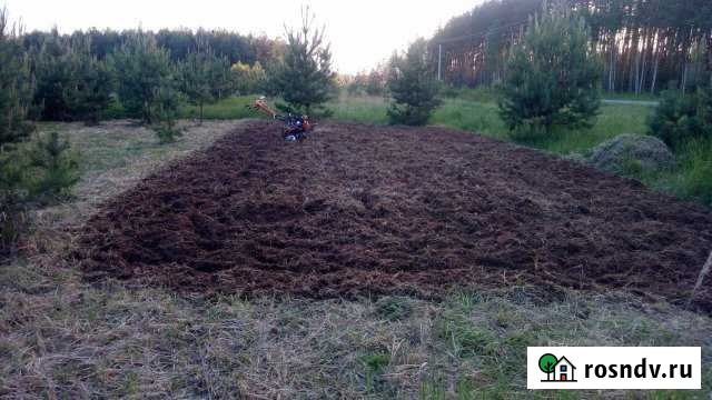 Участок СНТ, ДНП 860 сот. в аренду в Рошале Рошаль - изображение 1
