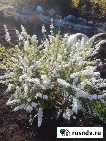 Дача 50 м² на участке 18 сот. на продажу в Прокопьевске Прокопьевск - изображение 1