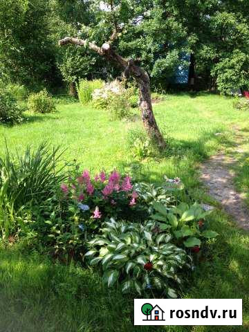 Дача 42 м² на участке 22 сот. на продажу в Синявино Синявино - изображение 1