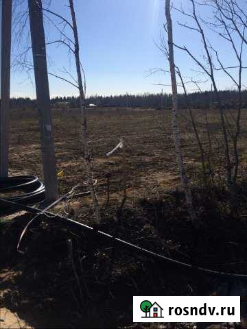 Участок СНТ, ДНП 12 сот. на продажу в Рахье Рахья - изображение 1