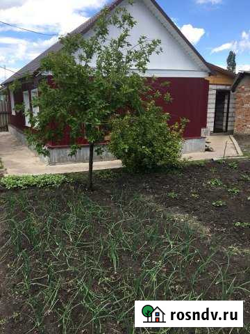 Дом 56 м² на участке 5 сот. на продажу в Токаревке Токаревка - изображение 1