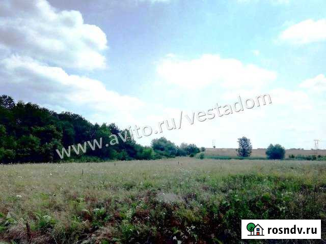 Участок СНТ, ДНП 320 сот. на продажу в Северской Северская - изображение 1