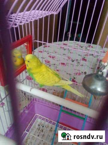 1-комнатная квартира, 33 м², 5/5 эт. на продажу в Ворошнево Ворошнево - изображение 1