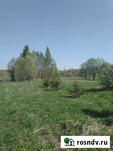 Участок ИЖС 17 сот. на продажу в Шарье Шарья - изображение 1