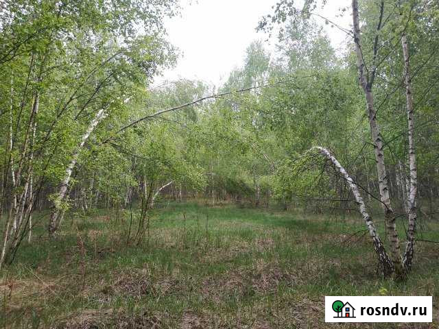 Участок ИЖС 20 сот. на продажу в Шатурторфе Шатурторф - изображение 1