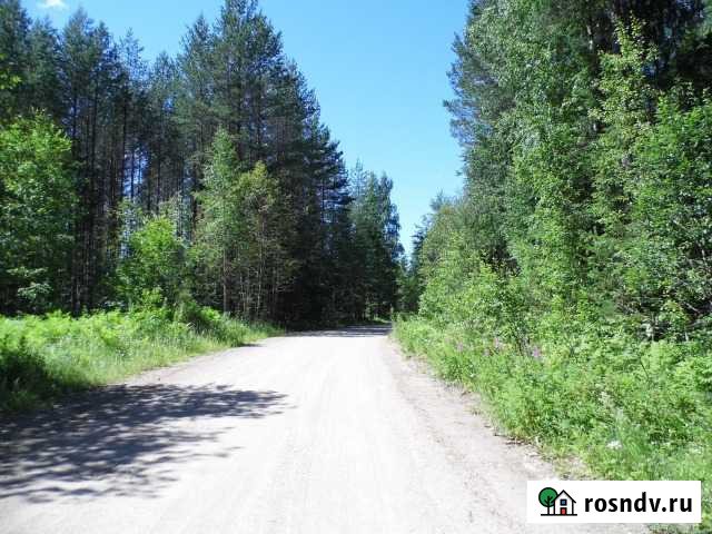 Участок ИЖС 30 сот. на продажу в Пестово Пестово - изображение 1