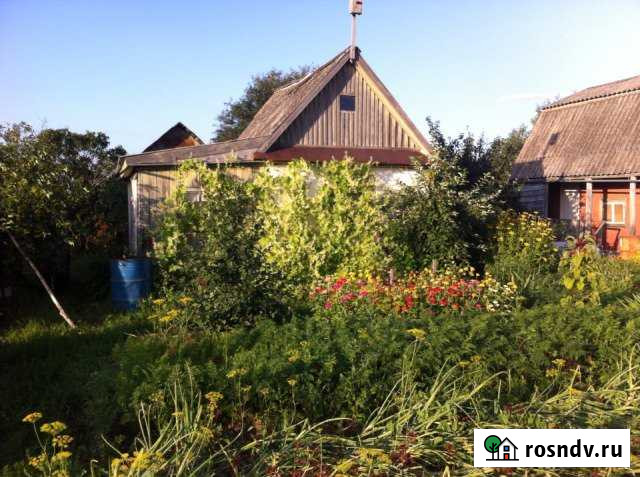 Дача 20 м² на участке 3 сот. на продажу в Сарапуле Сарапул - изображение 1