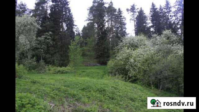 Участок ИЖС 16 сот. на продажу в Сортавале Сортавала - изображение 1