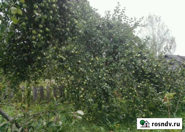 Участок ИЖС 12 сот. на продажу в Навашино Навашино - изображение 1