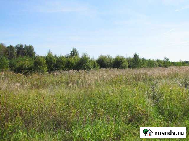 Участок СНТ, ДНП 4200 сот. на продажу в Вязниках Вязники - изображение 1