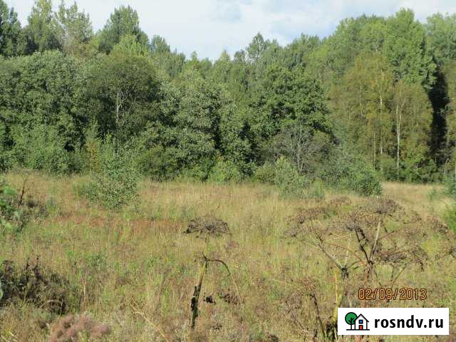 Участок СНТ, ДНП 900 сот. на продажу в Валдае Валдай - изображение 1