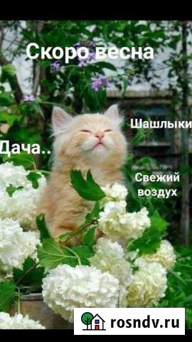 Дача 56 м² на участке 6 сот. на продажу в Кингисеппе Кингисепп - изображение 1