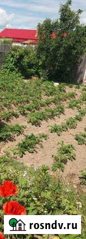 Дом 37 м² на участке 4 сот. на продажу в Сухиничах Сухиничи - изображение 1