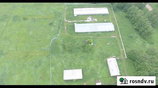 Производственные помещение, 1300 кв.м. Новосибирск - изображение 1