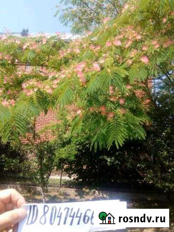 Дача 30 м² на участке 10 сот. в аренду посуточно в Джубге кп Джубга кп - изображение 1