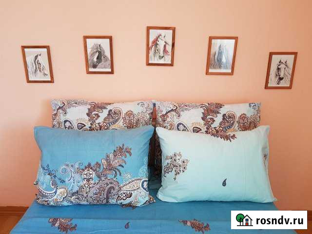 2-комнатная квартира, 55 м², 3/9 эт. в аренду посуточно в Старом Осколе Старый Оскол - изображение 1