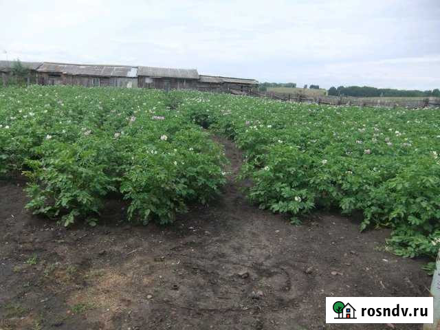 3-комнатная квартира, 78 м², 1/1 эт. на продажу в Балахте Балахта - изображение 1