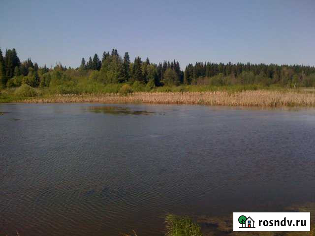 Участок СНТ, ДНП 800 сот. на продажу в Верещагино Верещагино - изображение 1