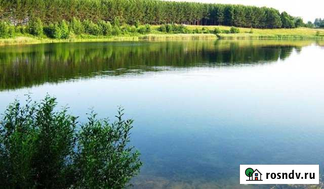 Участок СНТ, ДНП 4700 сот. на продажу в Почепе Почеп - изображение 1