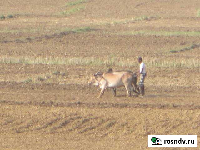 Участок ИЖС 18 сот. на продажу в Осе Пермского края Оса - изображение 1