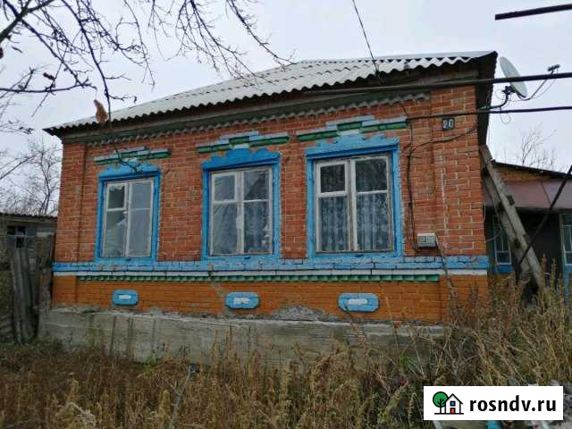 Дом 55 м² на участке 50 сот. на продажу в Попутной Попутная - изображение 1