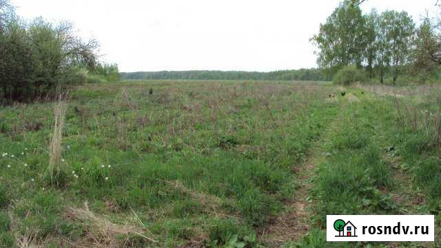 Участок ИЖС 25 сот. на продажу в Сухиничах Сухиничи - изображение 1