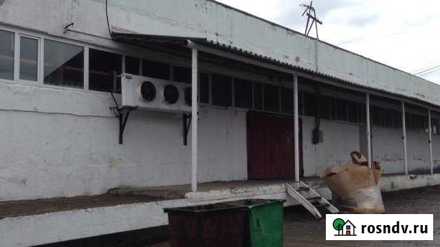 Склад-холодильник 449 кв.м. Сургут - изображение 1