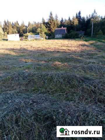 Участок СНТ, ДНП 12 сот. на продажу в Кингисеппе Кингисепп - изображение 1