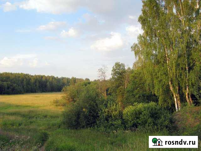 Участок промназначения 657 сот. на продажу в Ново-Талицах Ново-Талицы - изображение 1