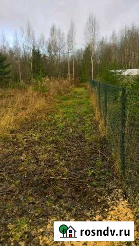 Участок СНТ, ДНП 15 сот. на продажу в Кингисеппе Кингисепп - изображение 1