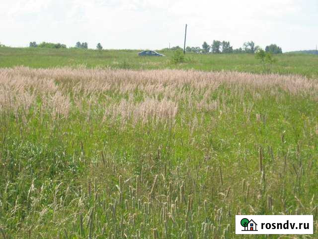 Участок ИЖС 10 сот. на продажу в Шуе Ивановской области Шуя - изображение 1