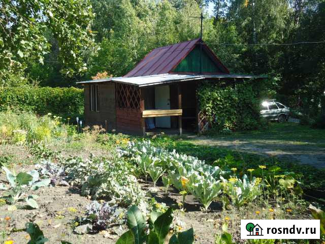 Дача 37.5 м² на участке 5.5 сот. на продажу в Засечном Засечное - изображение 1