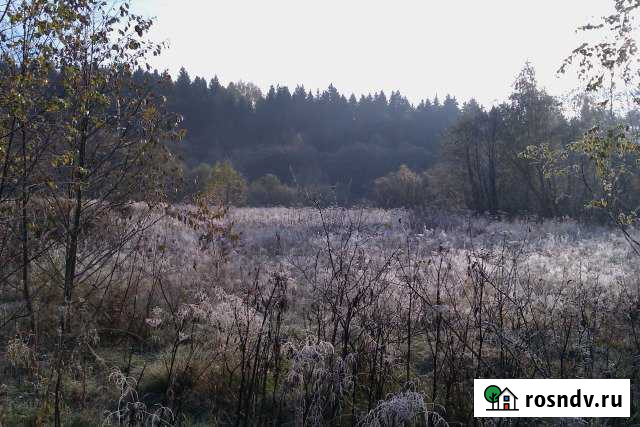 Участок СНТ, ДНП 150 сот. на продажу в Красноармейске Московской области Красноармейск - изображение 1