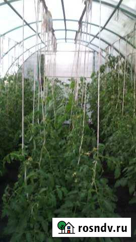 Участок СНТ, ДНП 4 сот. на продажу в Уйском Уйское - изображение 1