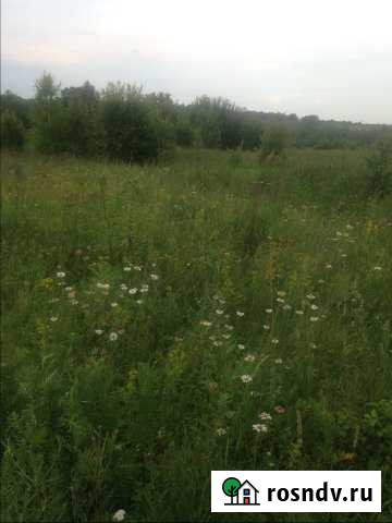 Участок ИЖС 30 сот. на продажу в Новогуровском Новогуровский - изображение 1