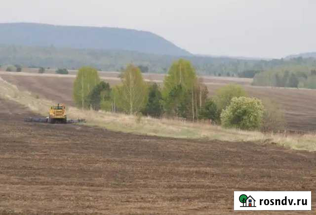 Участок СНТ, ДНП 1000 сот. на продажу в Нижнеудинске Нижнеудинск - изображение 1