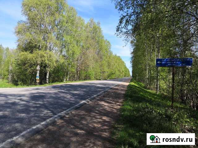 Участок СНТ, ДНП 10 сот. на продажу в Вырице Вырица - изображение 1