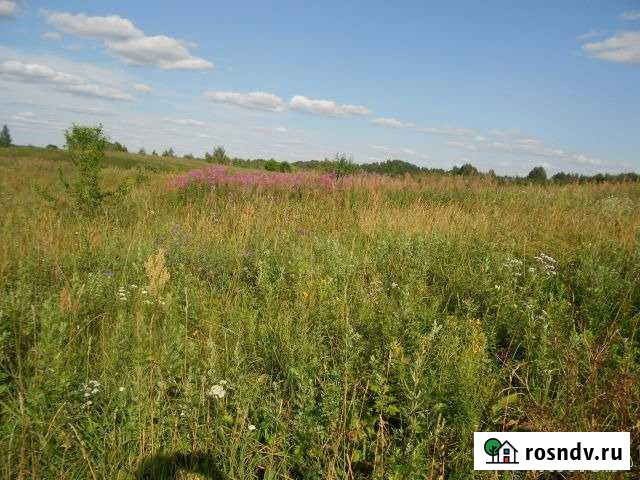 Участок ИЖС 15 сот. на продажу в Кузнечном Кузнечное - изображение 1