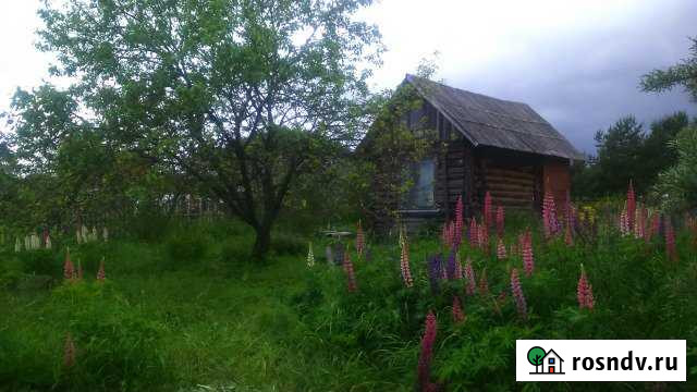 Дача 20 м² на участке 7 сот. на продажу в Пошехонье Пошехонье - изображение 1