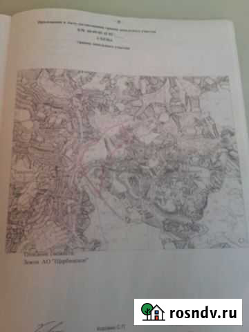 Участок СНТ, ДНП 901 сот. на продажу в Невеле Невель - изображение 1