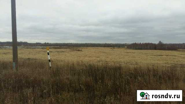 Участок СНТ, ДНП 156 сот. на продажу в Раменском Раменское - изображение 1