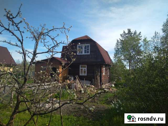 Дача 60 м² на участке 6 сот. на продажу в Тосно Тосно - изображение 1