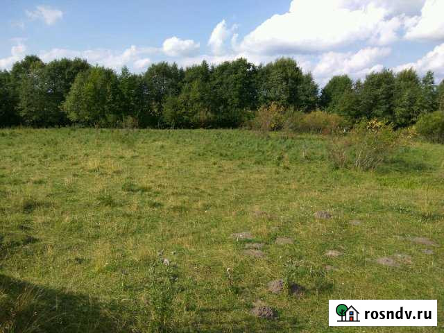 Участок ИЖС 14 сот. на продажу в Эммауссе Эммаусс - изображение 1