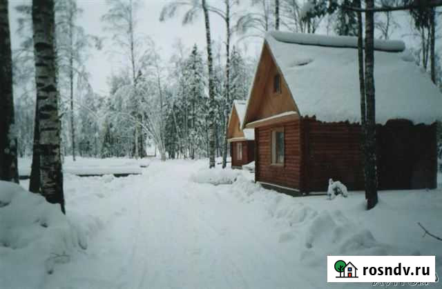 Коттедж 36 м² на участке 6 сот. в аренду посуточно в Пено Пено - изображение 1