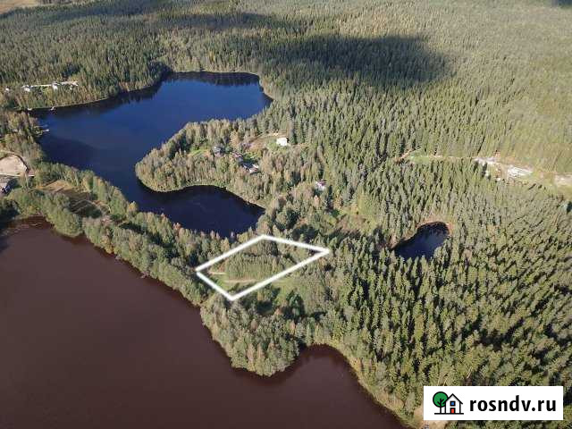 Участок ИЖС 47 сот. на продажу в Рощино Ленинградской области Рощино - изображение 1