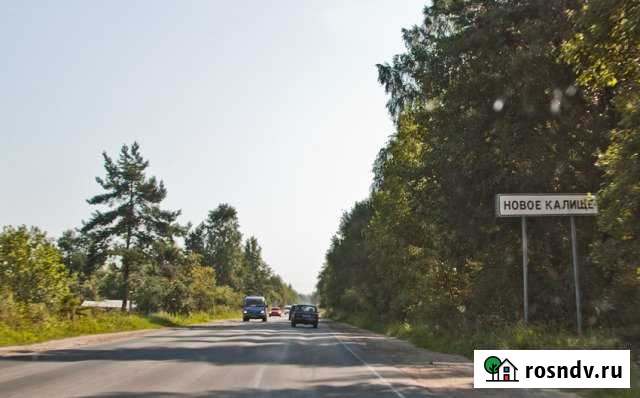 Участок СНТ, ДНП 12 сот. на продажу в Сосновом Бору Сосновый Бор - изображение 1