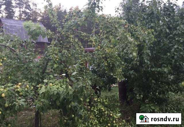 Участок СНТ, ДНП 7 сот. на продажу в Долгодеревенском Долгодеревенское - изображение 1